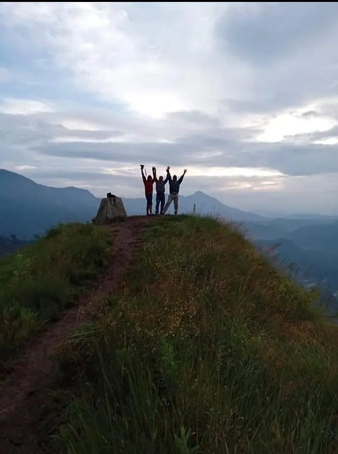 Homestay Munnar Lush Greens