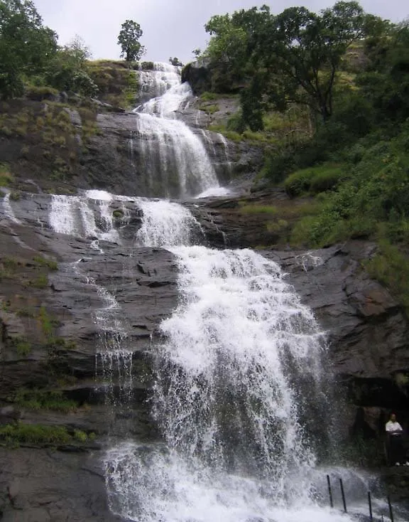 Munnar Lush Greens